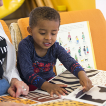 Observatoire des pratiques de lecture avec de jeunes enfants – Hérault